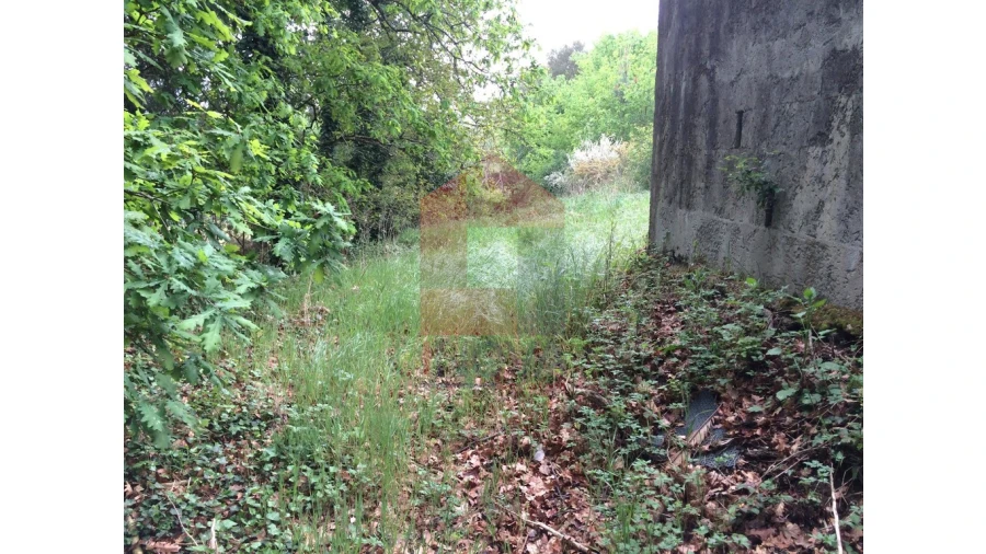 Terreno para Venda em Coucieiro Foto 7