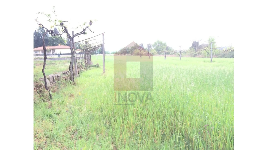 Terreno para Venda em Coucieiro Foto 6