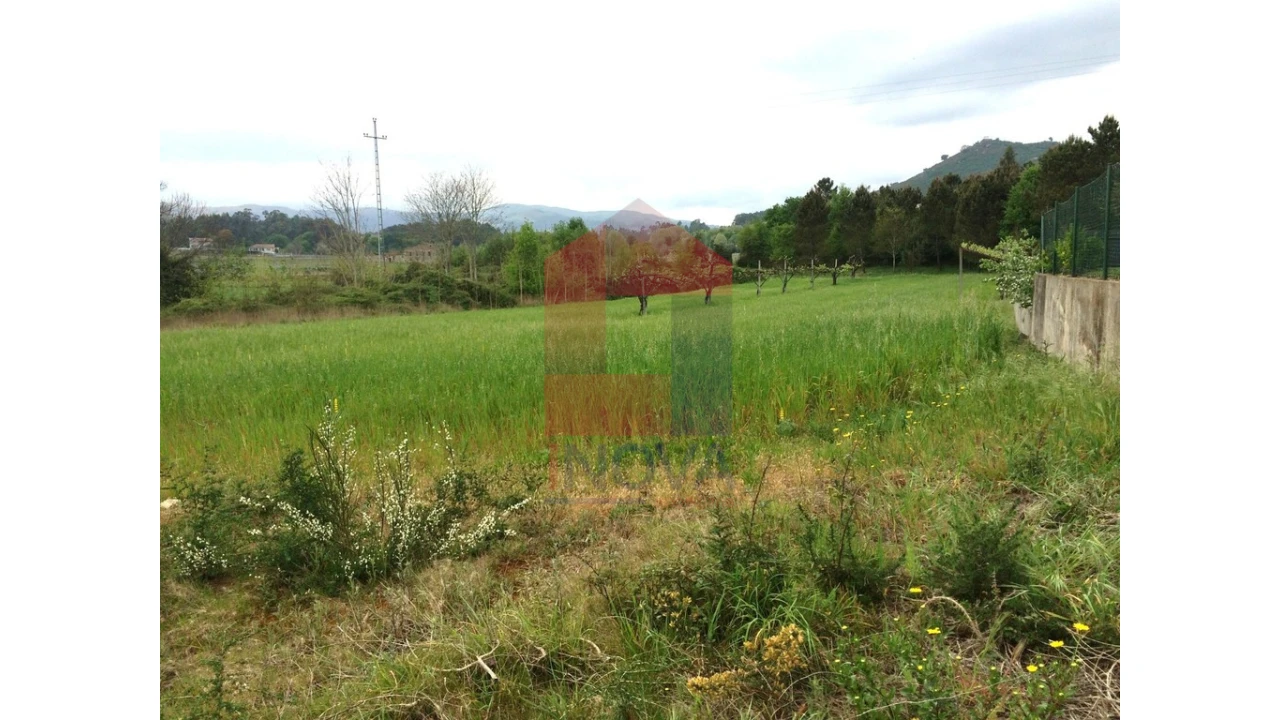 Terreno para Venda em Coucieiro Foto 4