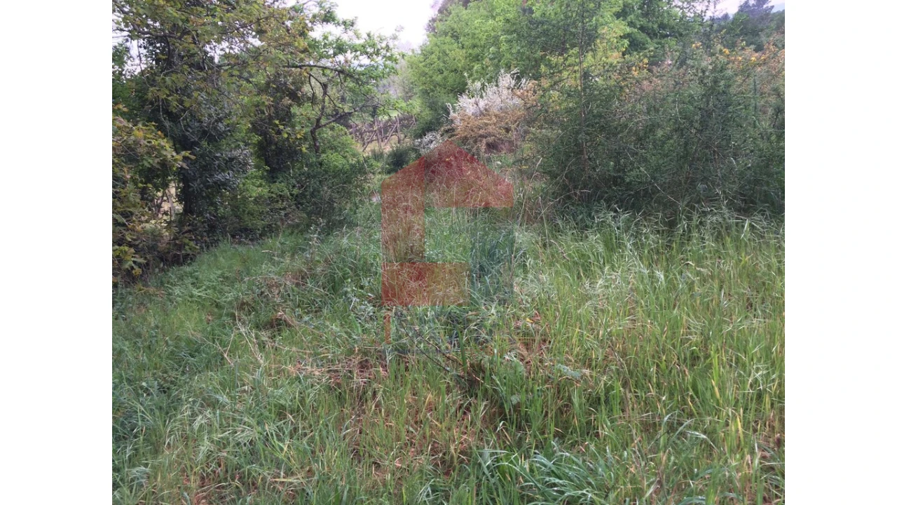 Terreno para Venda em Coucieiro Foto 8