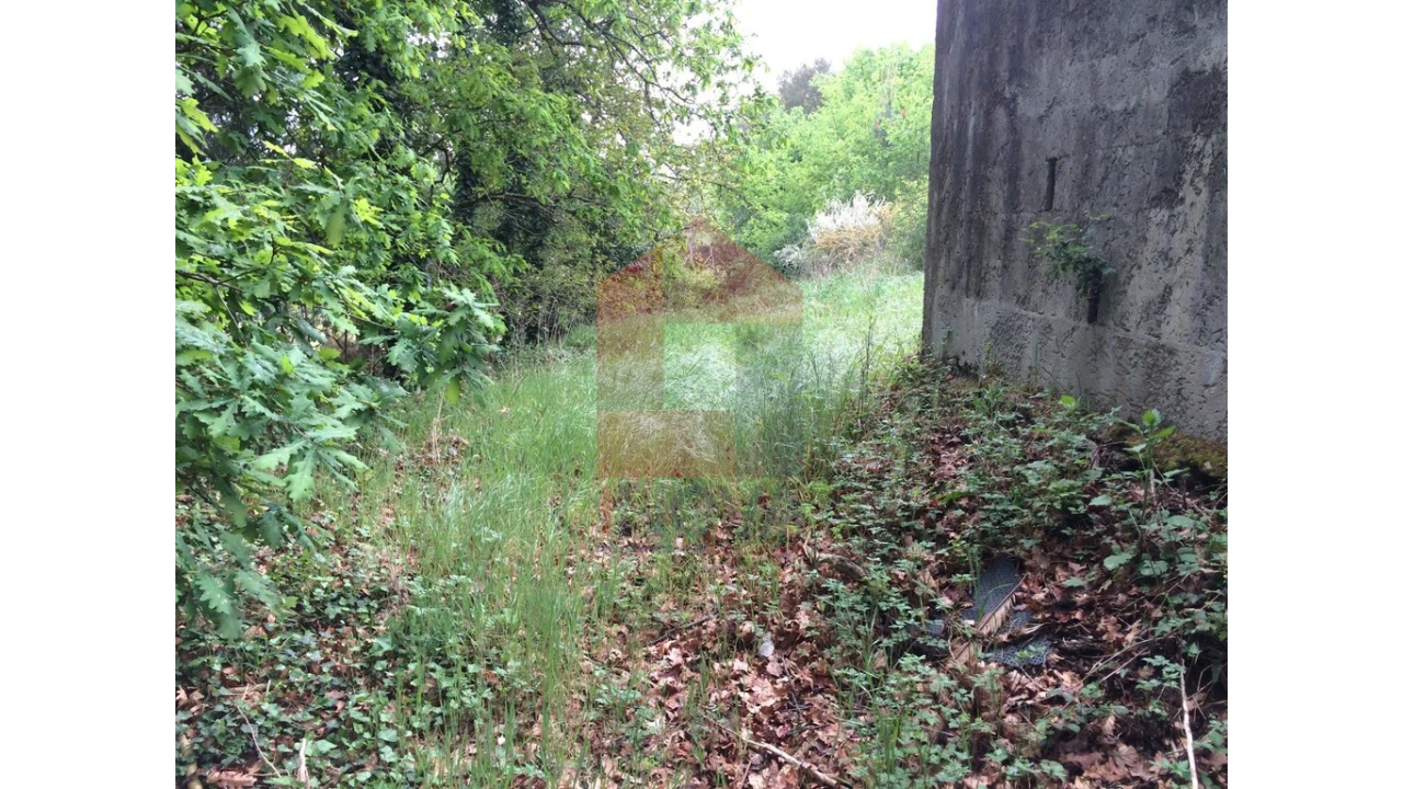 Terreno para Venda em Coucieiro Foto 7