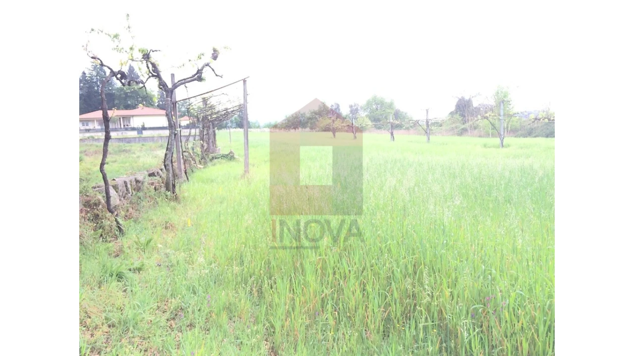 Terreno para Venda em Coucieiro Foto 6