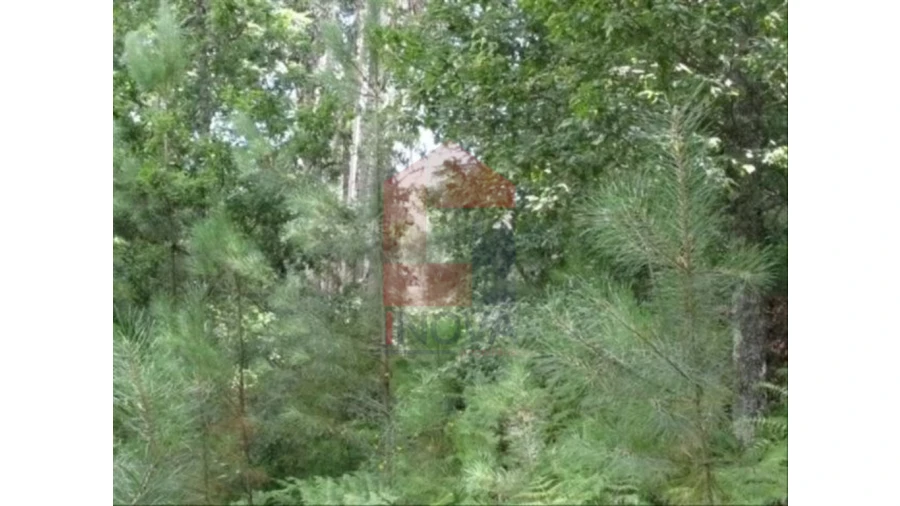 Terreno para Venda em Valdreu Foto 1