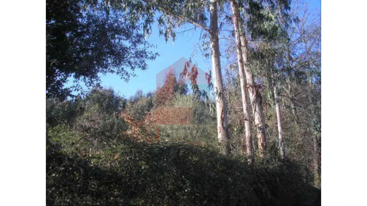 Terreno para Venda em Moure Foto 4
