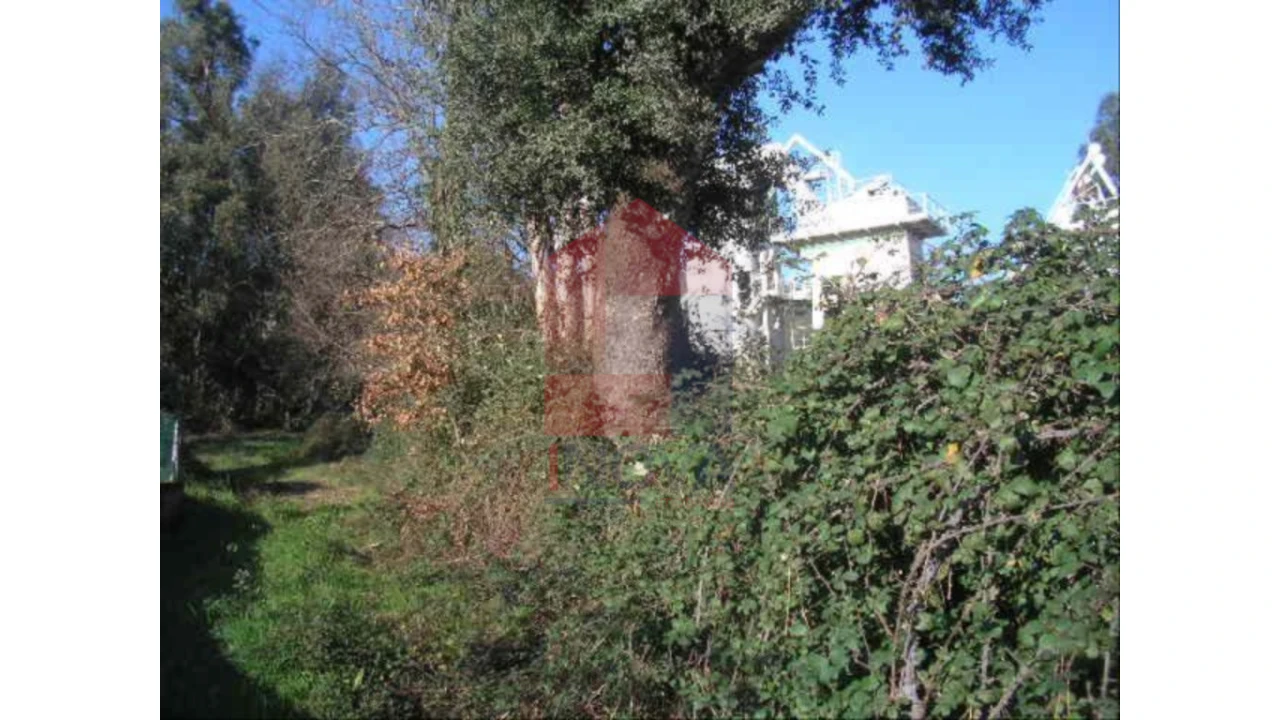 Terreno para Venda em Moure Foto 5