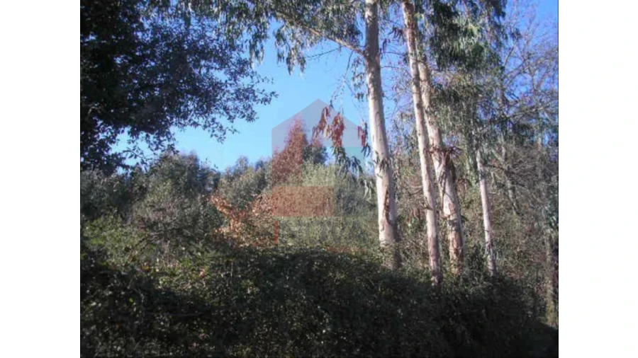 Terreno para Venda em Moure Foto 4