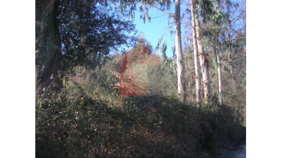 Terreno para Venda em Moure Foto 3