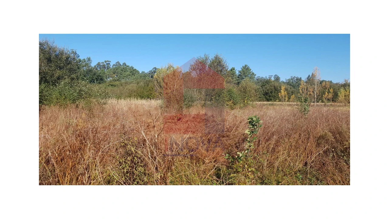 Terreno para Venda em Freiriz Foto 5