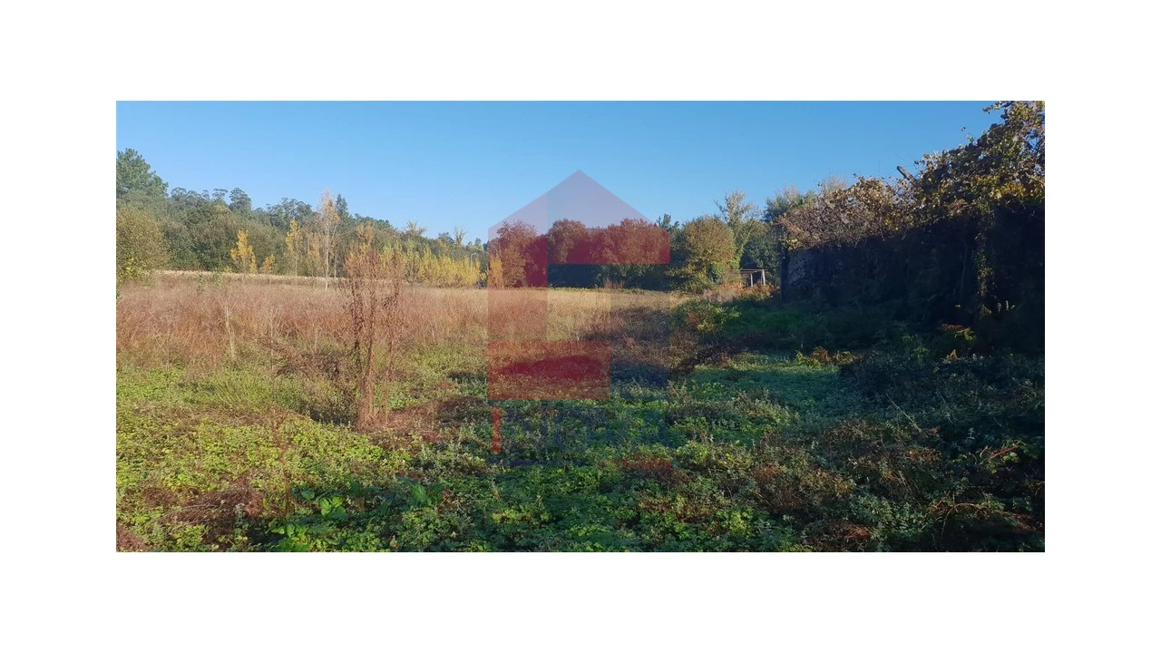 Terreno para Venda em Freiriz Foto 1
