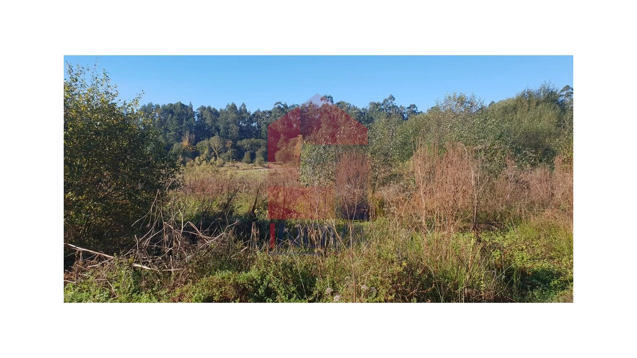 Terreno para Venda em Freiriz Foto 2