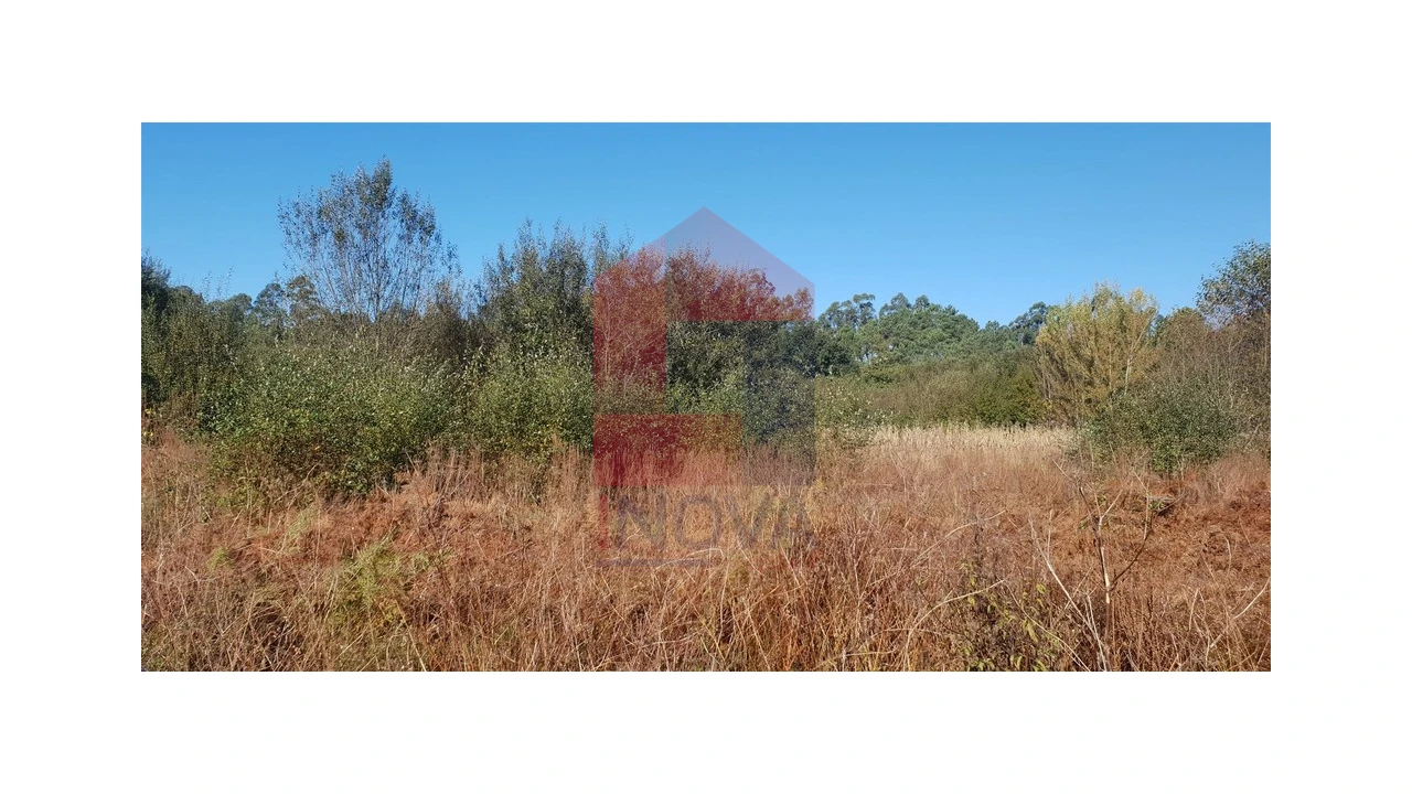 Terreno para Venda em Freiriz Foto 4