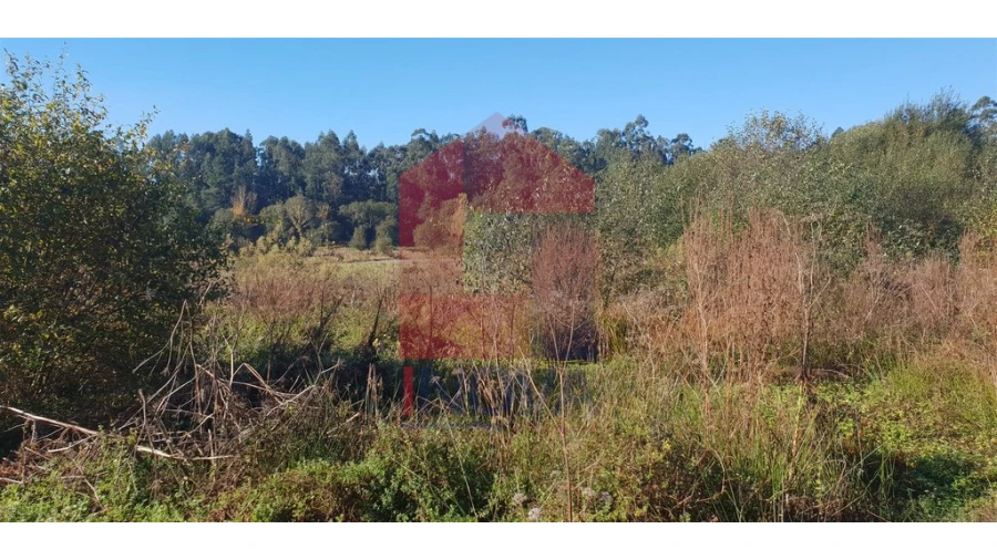 Terreno para Venda em Freiriz Foto 2