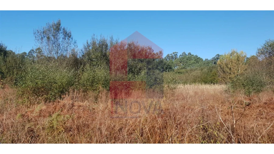 Terreno para Venda em Freiriz Foto 4