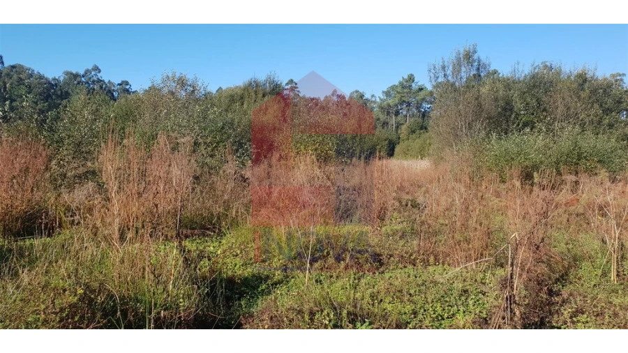 Terreno para Venda em Freiriz Foto 3