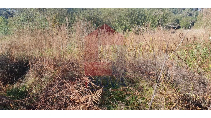 Terreno para Venda em Freiriz Foto 7