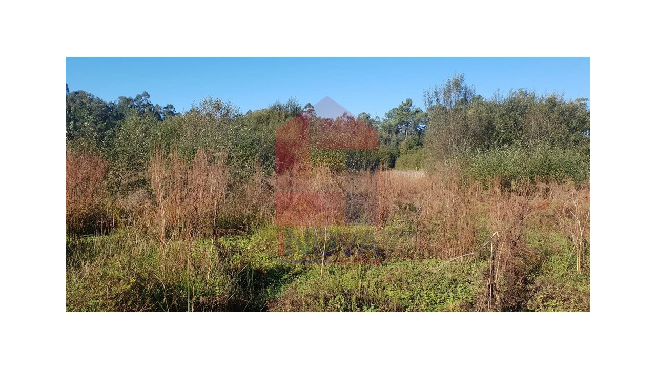 Terreno para Venda em Freiriz Foto 3
