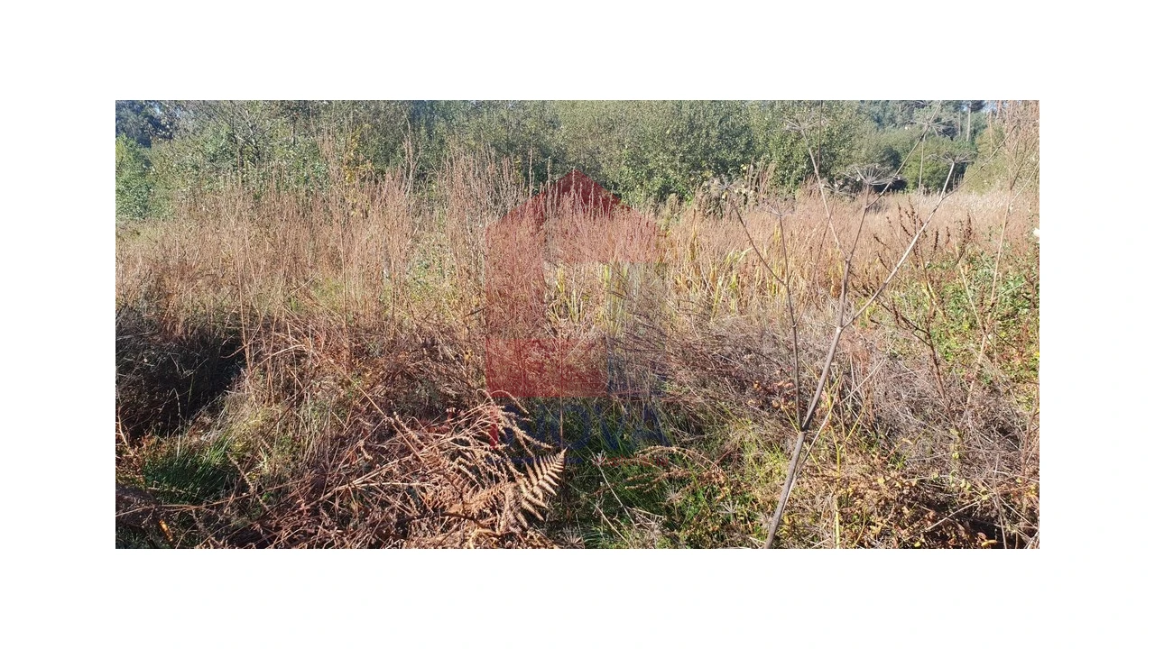 Terreno para Venda em Freiriz Foto 7