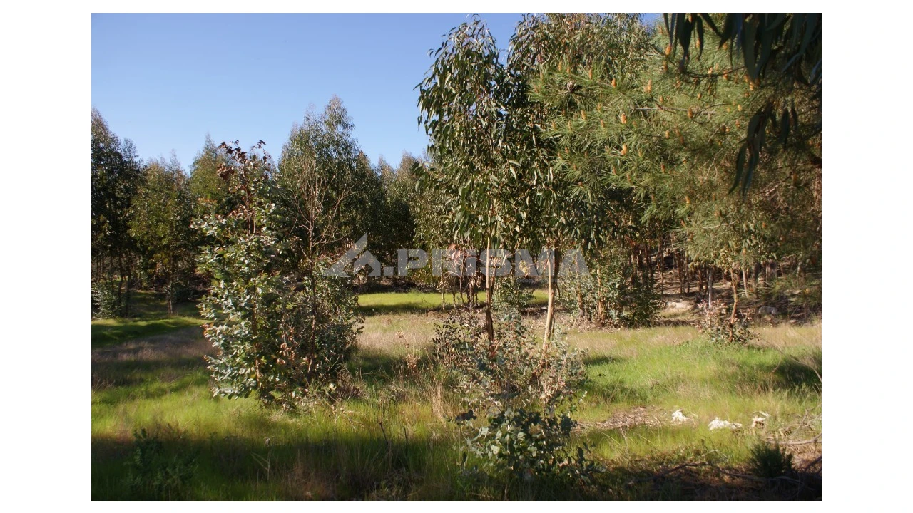 Terreno para Venda em Aldeia do Bispo, Águas e Aldeia de João Pires Foto 2