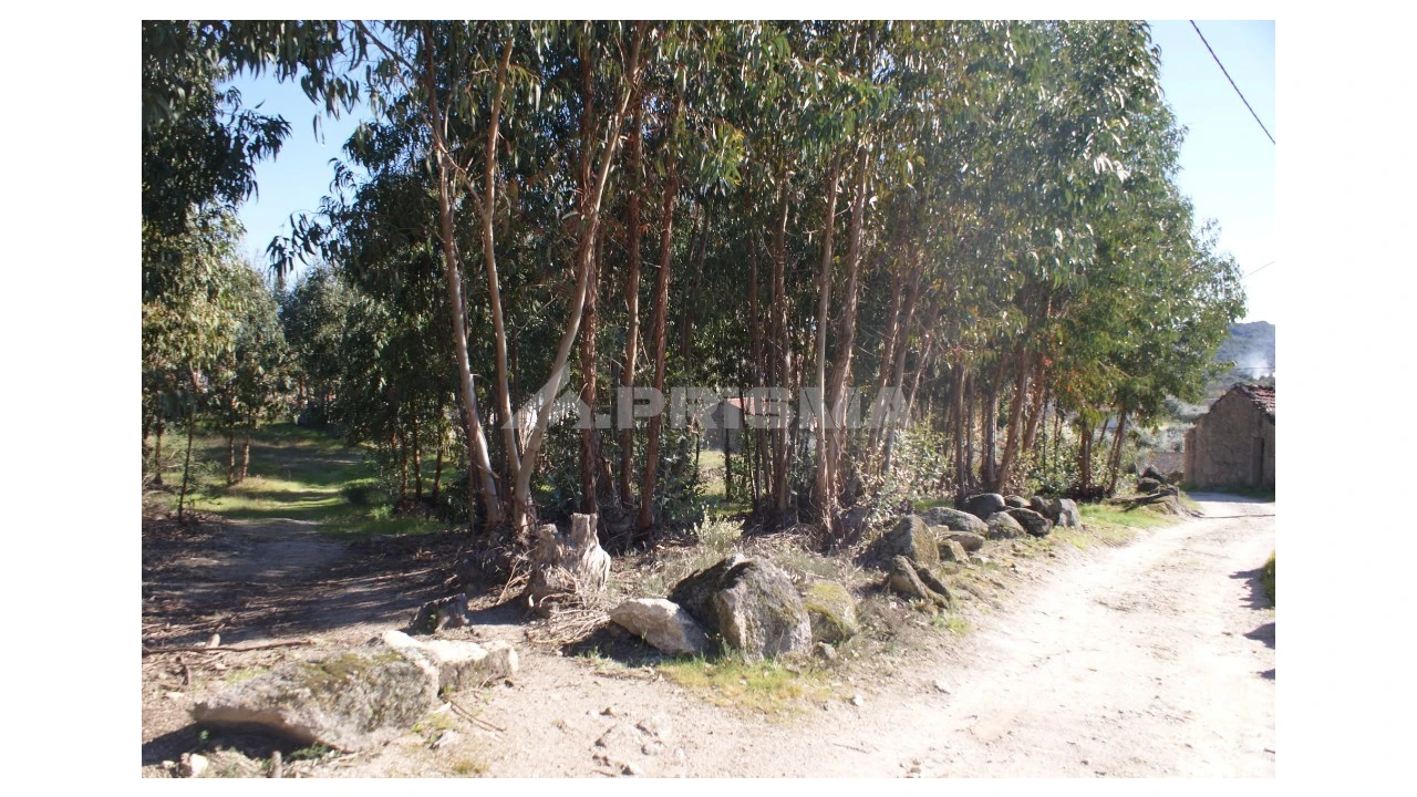 Terreno para Venda em Aldeia do Bispo, Águas e Aldeia de João Pires Foto 4