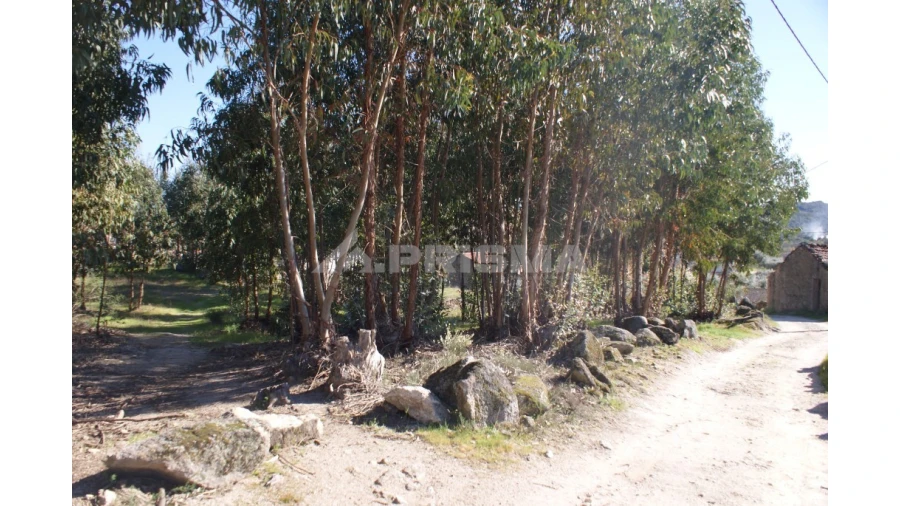 Terreno para Venda em Aldeia do Bispo, Águas e Aldeia de João Pires Foto 4