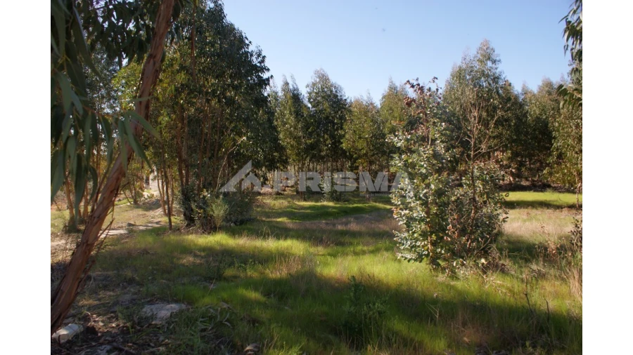 Terreno para Venda em Aldeia do Bispo, Águas e Aldeia de João Pires Foto 3