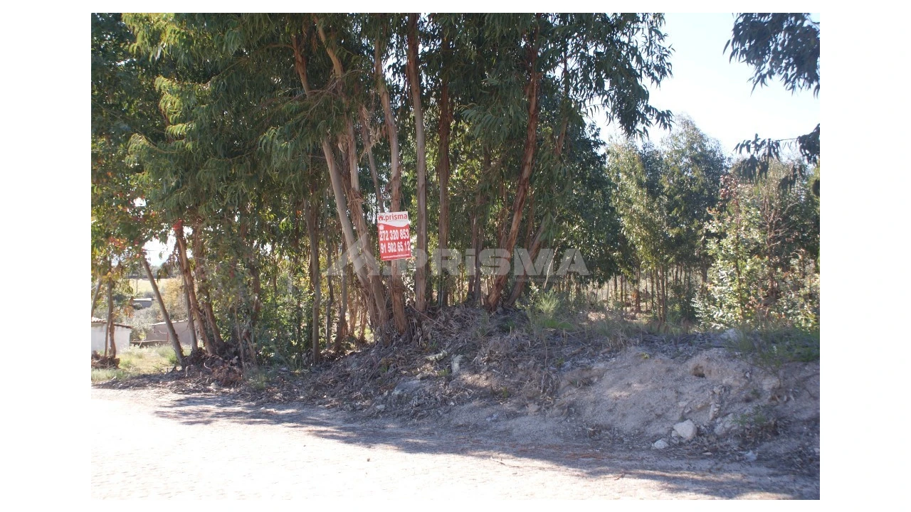 Terreno para Venda em Aldeia do Bispo, Águas e Aldeia de João Pires Foto 1