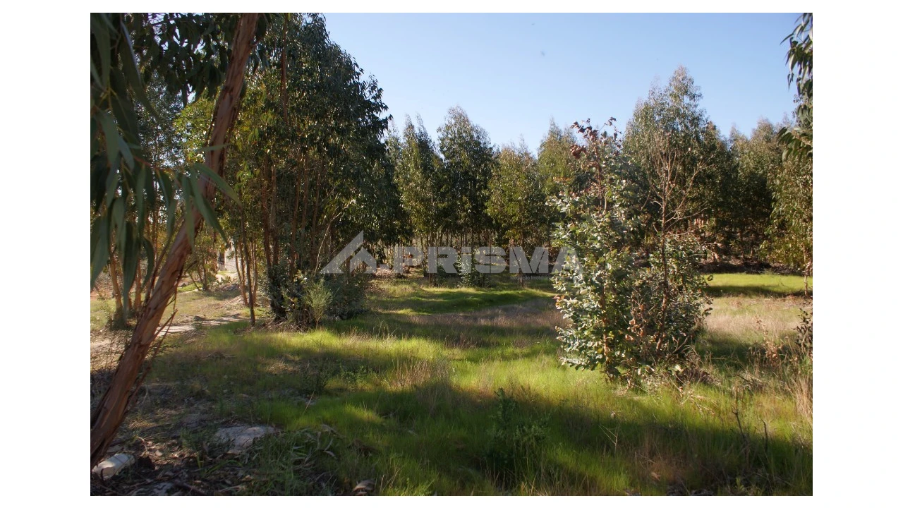 Terreno para Venda em Aldeia do Bispo, Águas e Aldeia de João Pires Foto 3