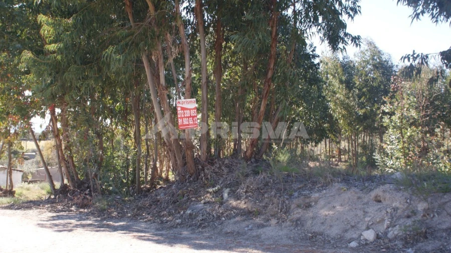 Terreno para Venda em Aldeia do Bispo, Águas e Aldeia de João Pires