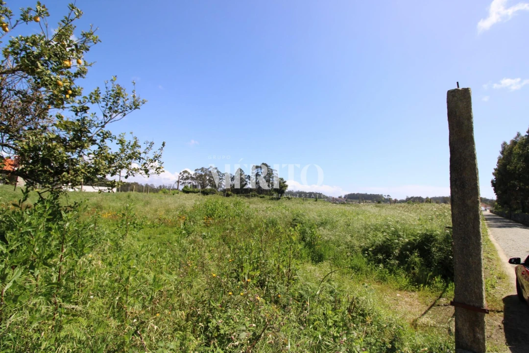 Terreno para Venda em Vilar e Mosteiró Foto 1