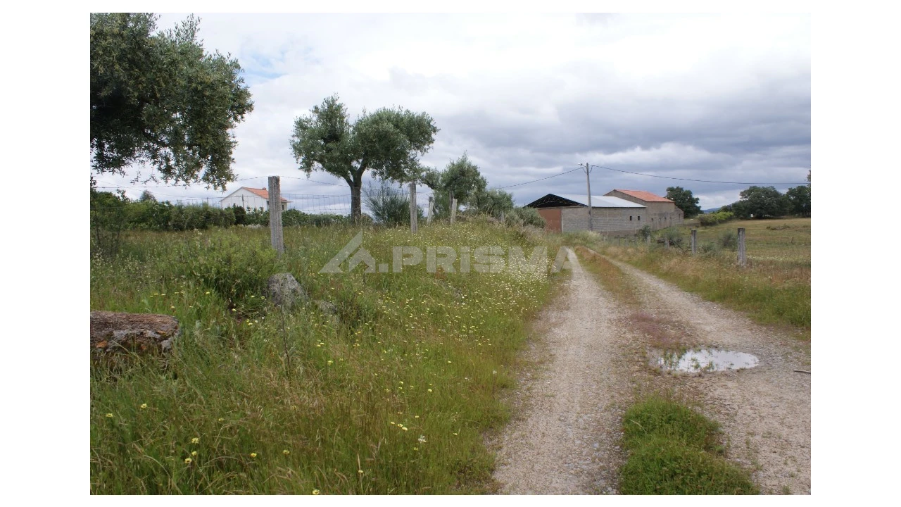 Terreno para Venda em Vale de Prazeres e Mata da Rainha Foto 6