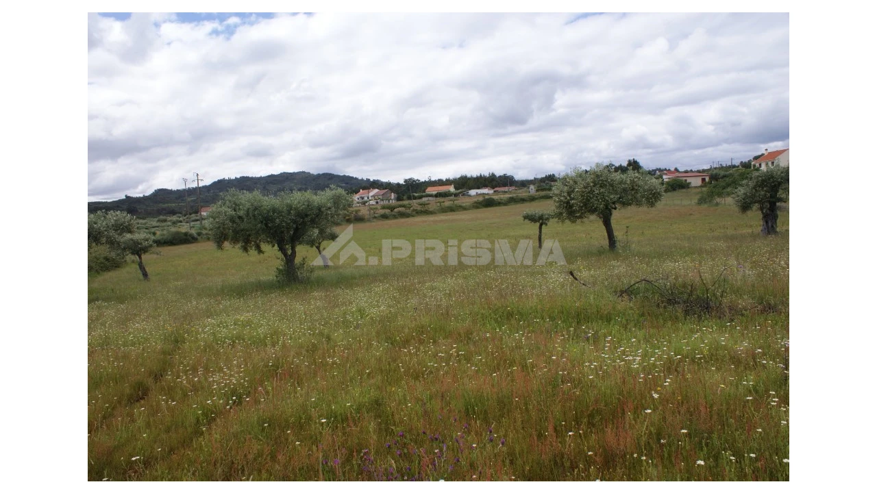 Terreno para Venda em Vale de Prazeres e Mata da Rainha Foto 10