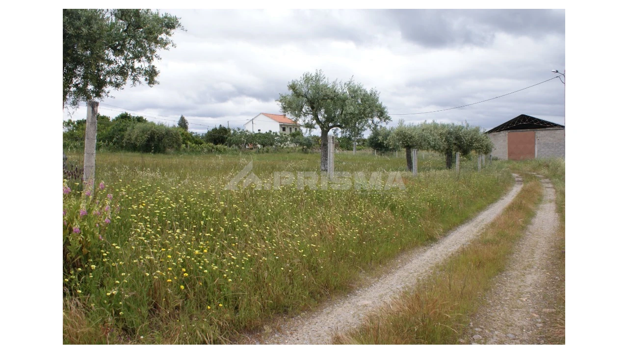 Terreno para Venda em Vale de Prazeres e Mata da Rainha Foto 8