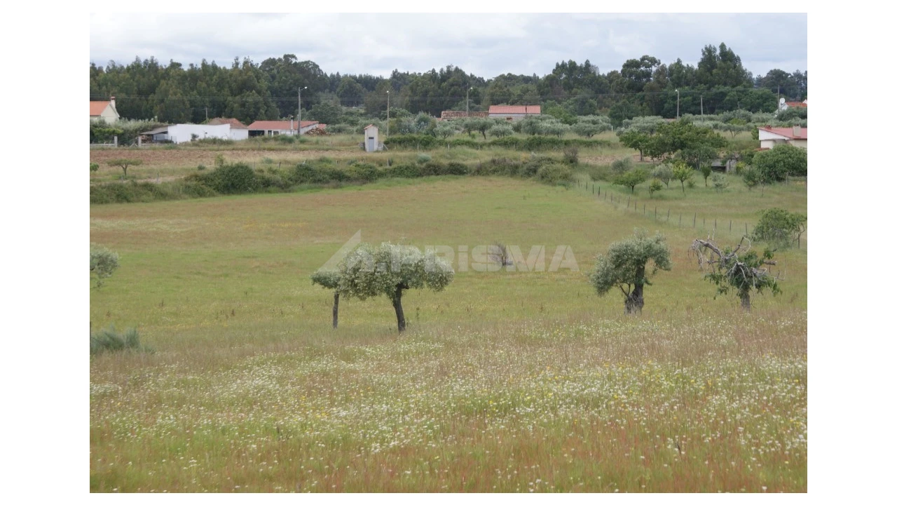 Terreno para Venda em Vale de Prazeres e Mata da Rainha Foto 3