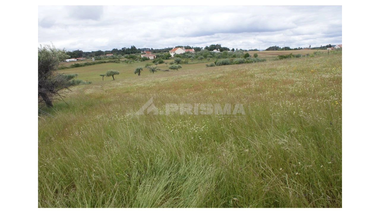 Terreno para Venda em Vale de Prazeres e Mata da Rainha Foto 1