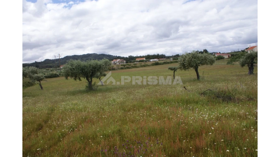 Terreno para Venda em Vale de Prazeres e Mata da Rainha Foto 10