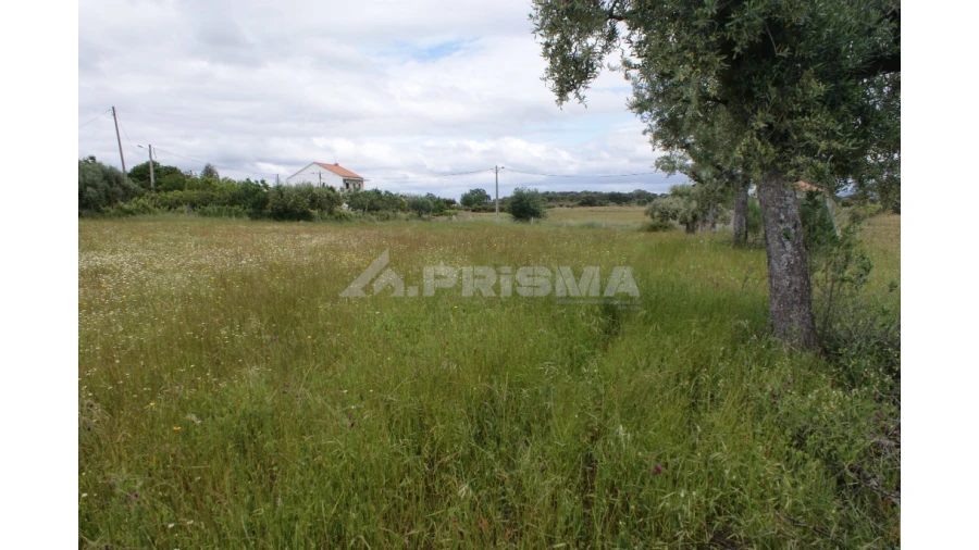 Terreno para Venda em Vale de Prazeres e Mata da Rainha Foto 2