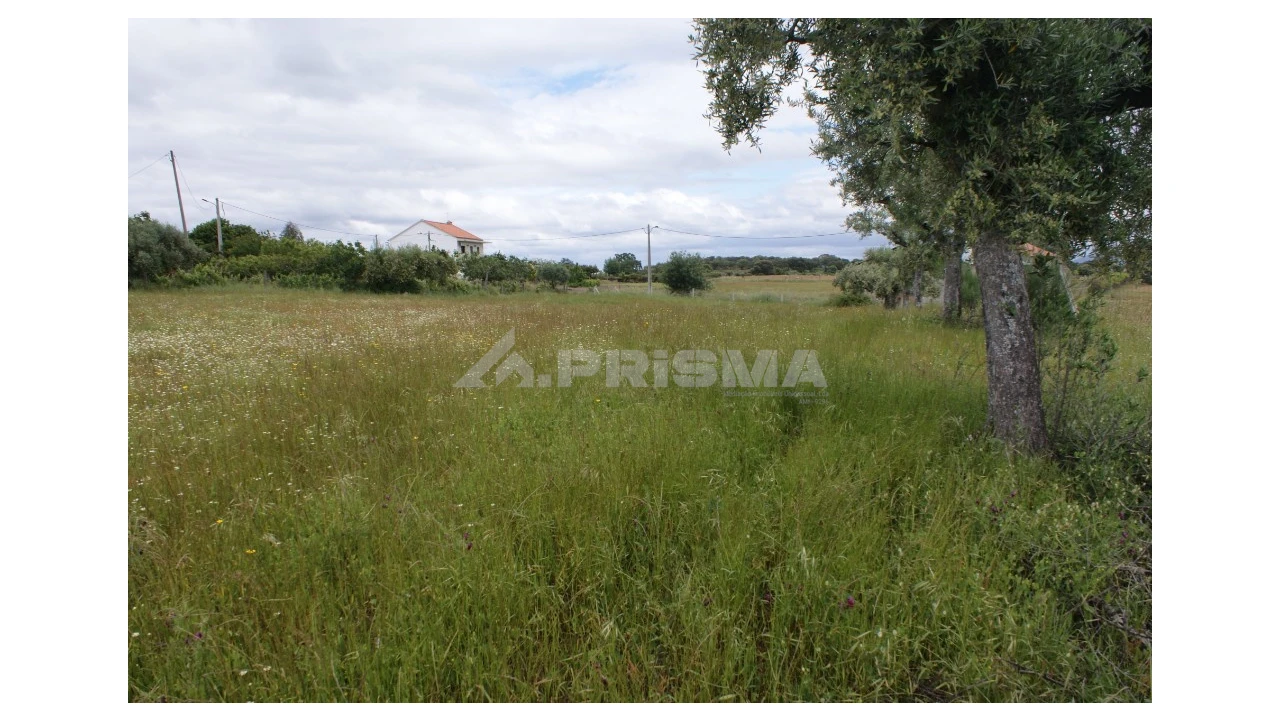 Terreno para Venda em Vale de Prazeres e Mata da Rainha Foto 2