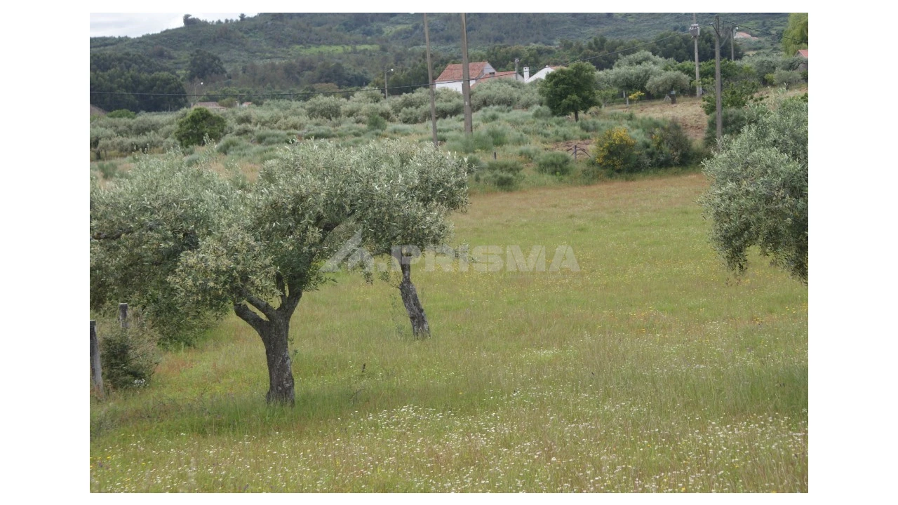 Terreno para Venda em Vale de Prazeres e Mata da Rainha Foto 4