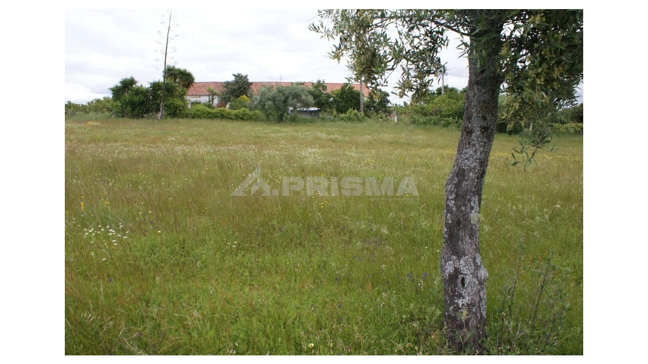 Terreno para Venda em Vale de Prazeres e Mata da Rainha Foto 9