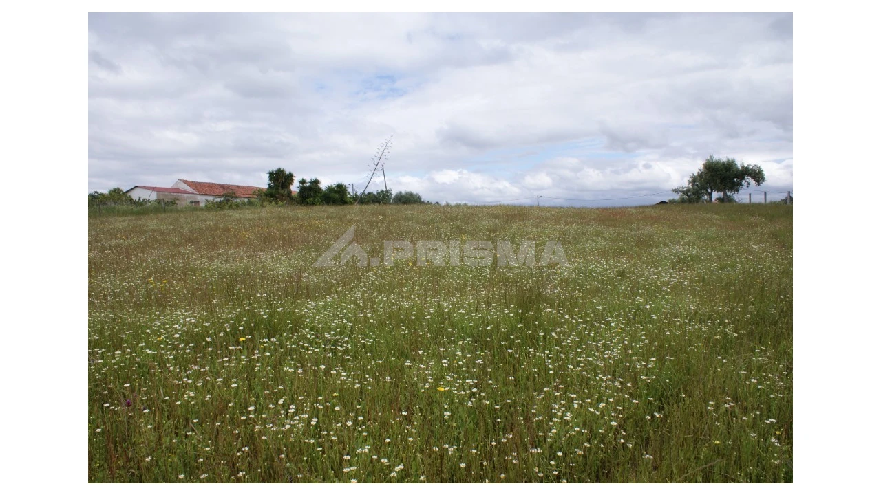 Terreno para Venda em Vale de Prazeres e Mata da Rainha Foto 5
