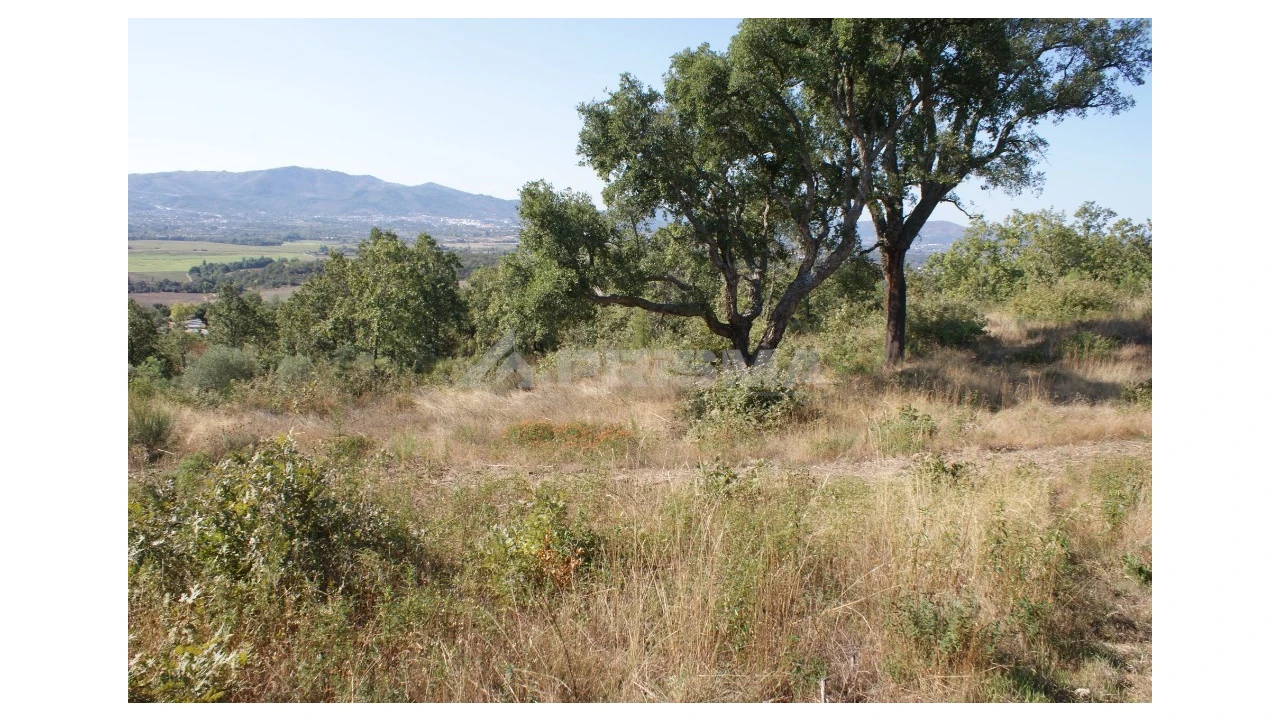 Terreno para Venda em Pero Viseu Foto 2