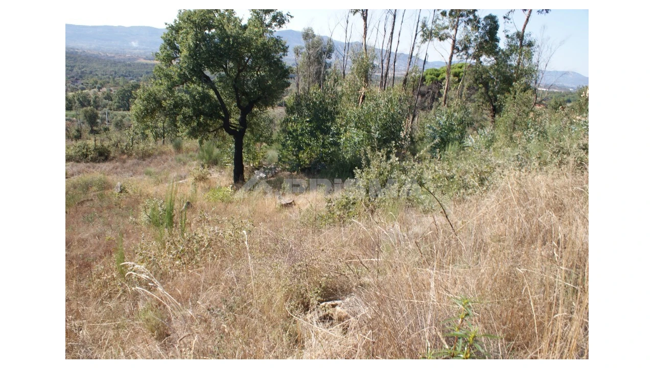 Terreno para Venda em Pero Viseu Foto 4