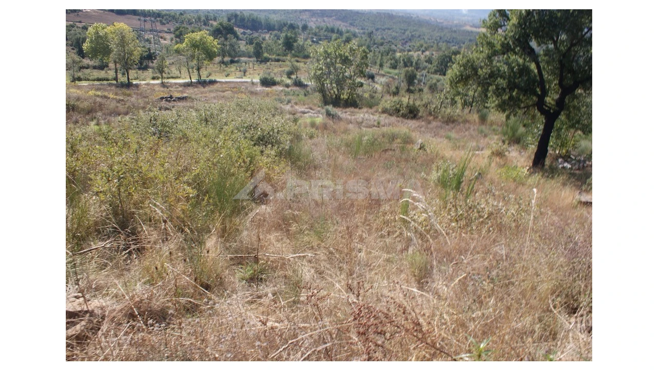 Terreno para Venda em Pero Viseu Foto 3