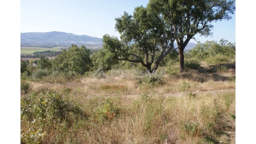 Terreno para Venda em Pero Viseu Foto 2