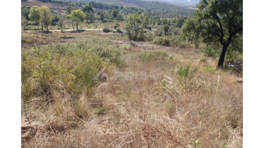 Terreno para Venda em Pero Viseu Foto 3