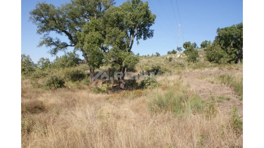 Terreno para Venda em Pero Viseu Foto 8
