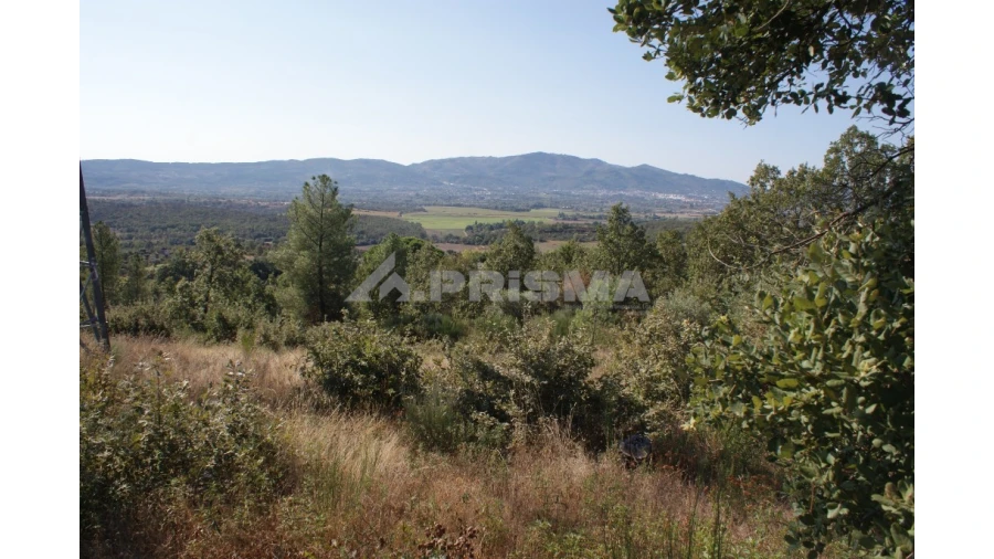 Terreno para Venda em Pero Viseu