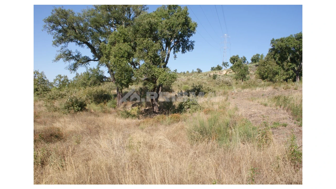 Terreno para Venda em Pero Viseu Foto 8