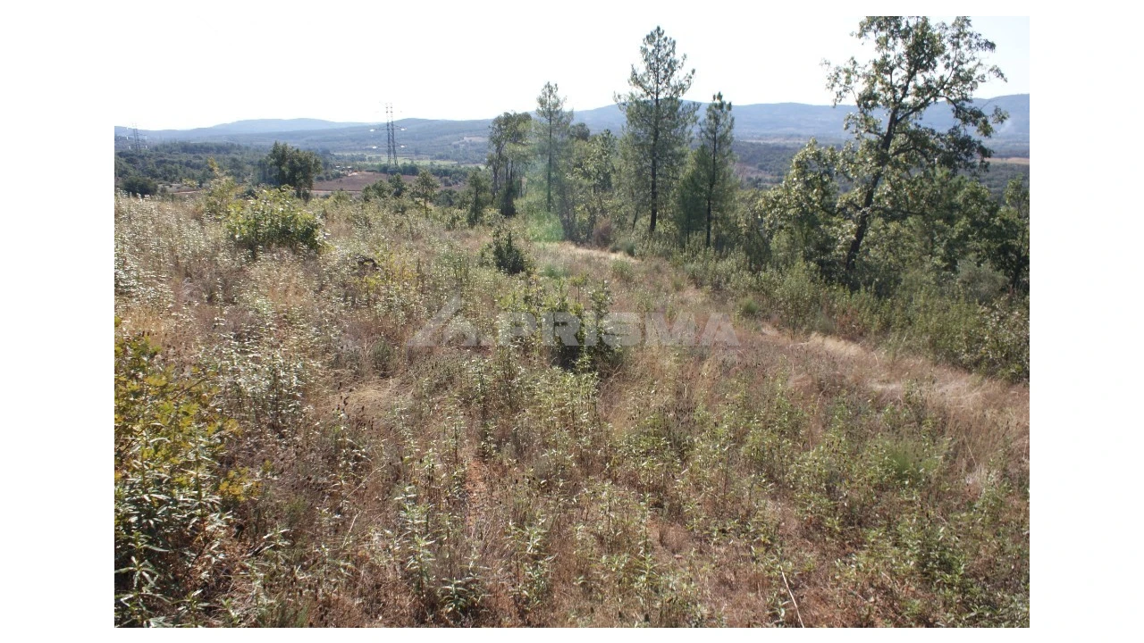 Terreno para Venda em Pero Viseu Foto 9