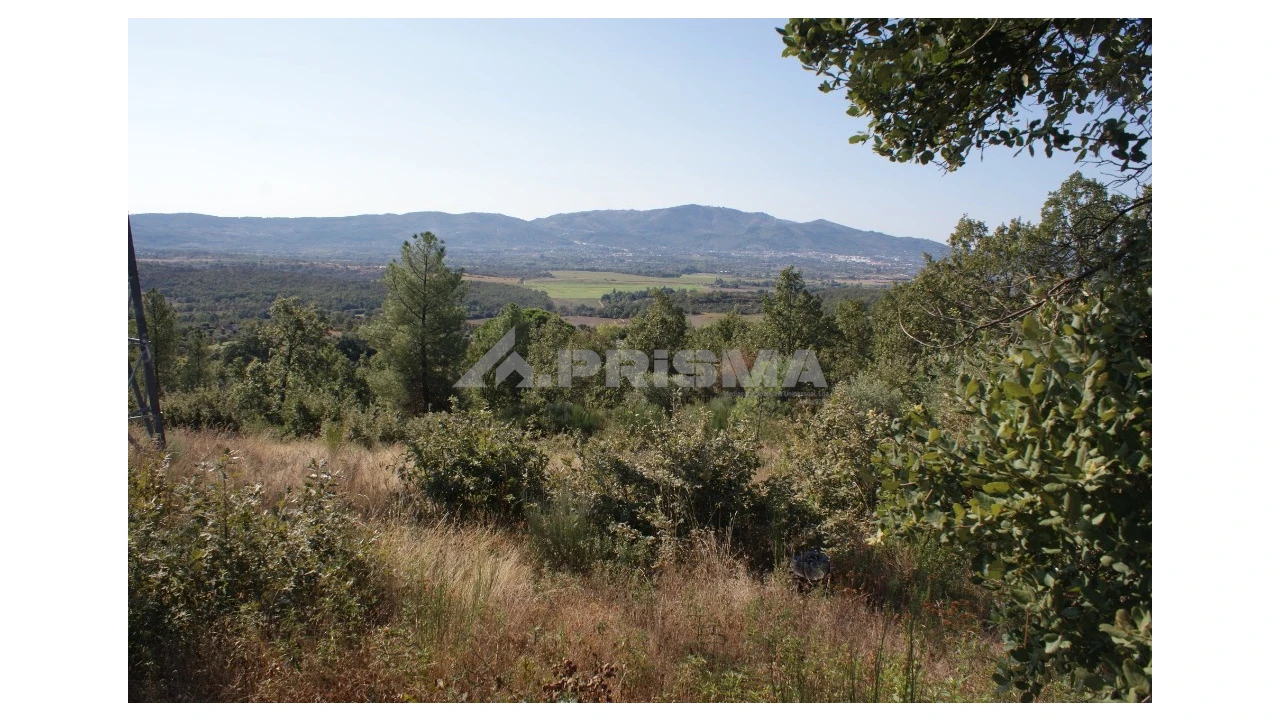 Terreno para Venda em Pero Viseu Foto 1